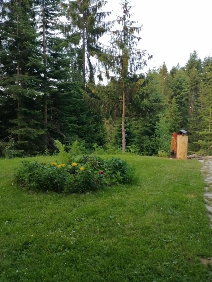 P-Zlatar, Apartman 3 Brdo 外观 照片
